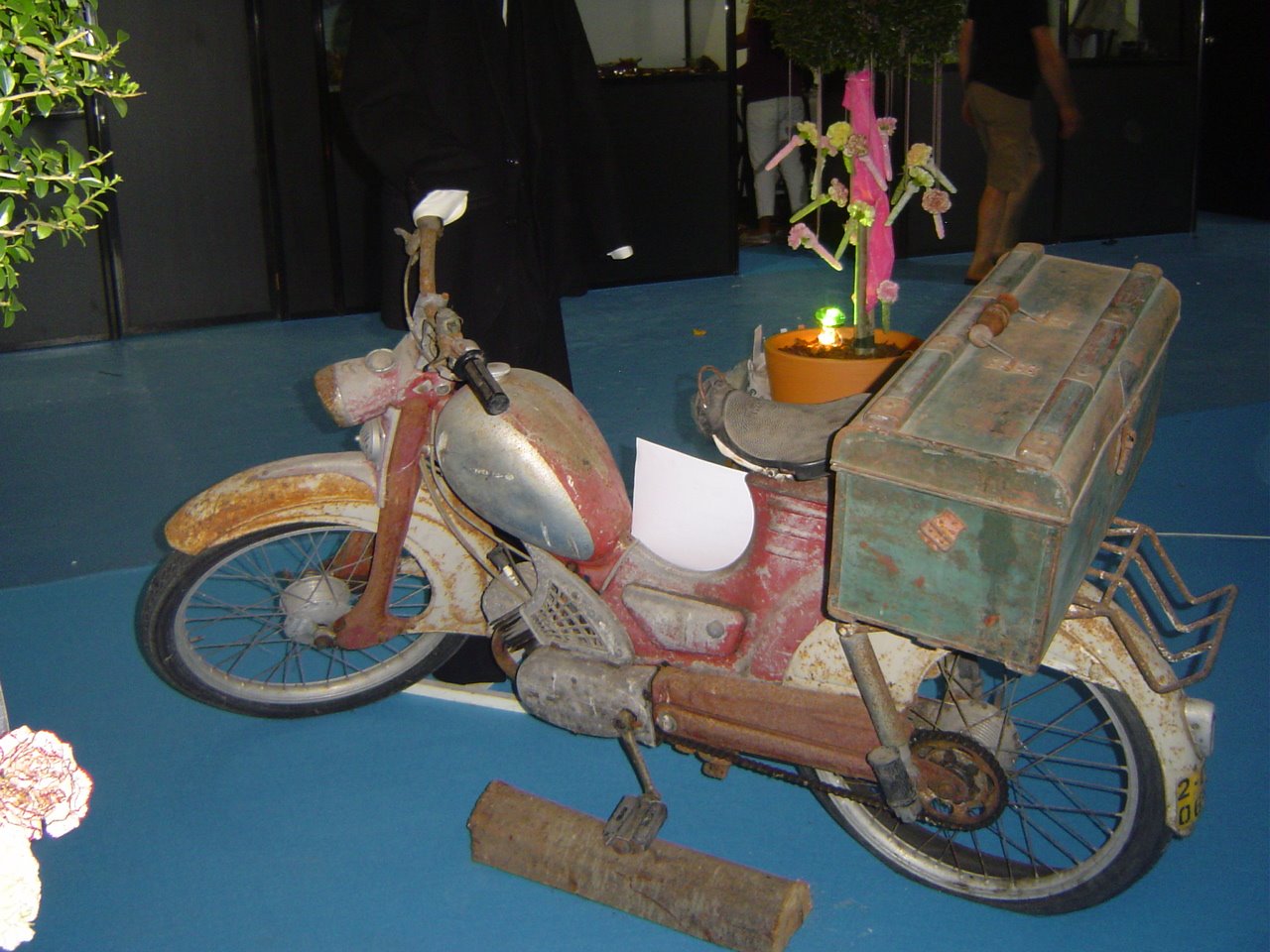 [DSC04540.JPG]