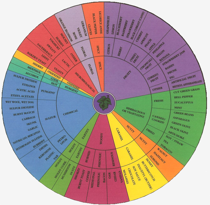 The North Fork Newbie A Crash Course in Wine Part II