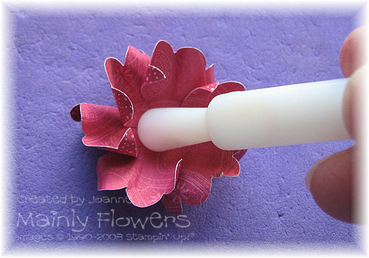 [JoG+Biggin+Hill+Cake+Flower+18.jpg]