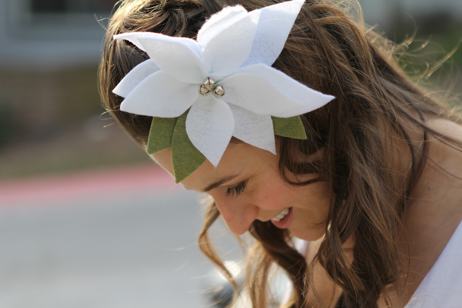 коледна звезда