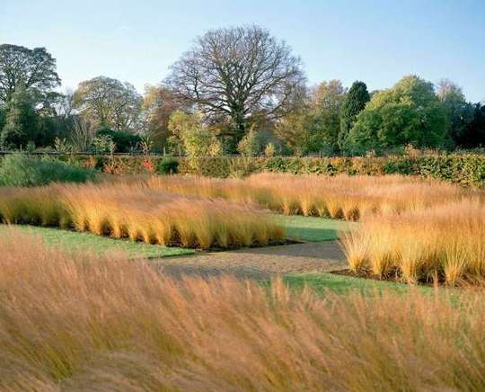 The Gardener's Eye, Garden Read, Take a Walk on the Wild Side The Gardener's Eye, Garden Read, Take a Walk on the Wild Side