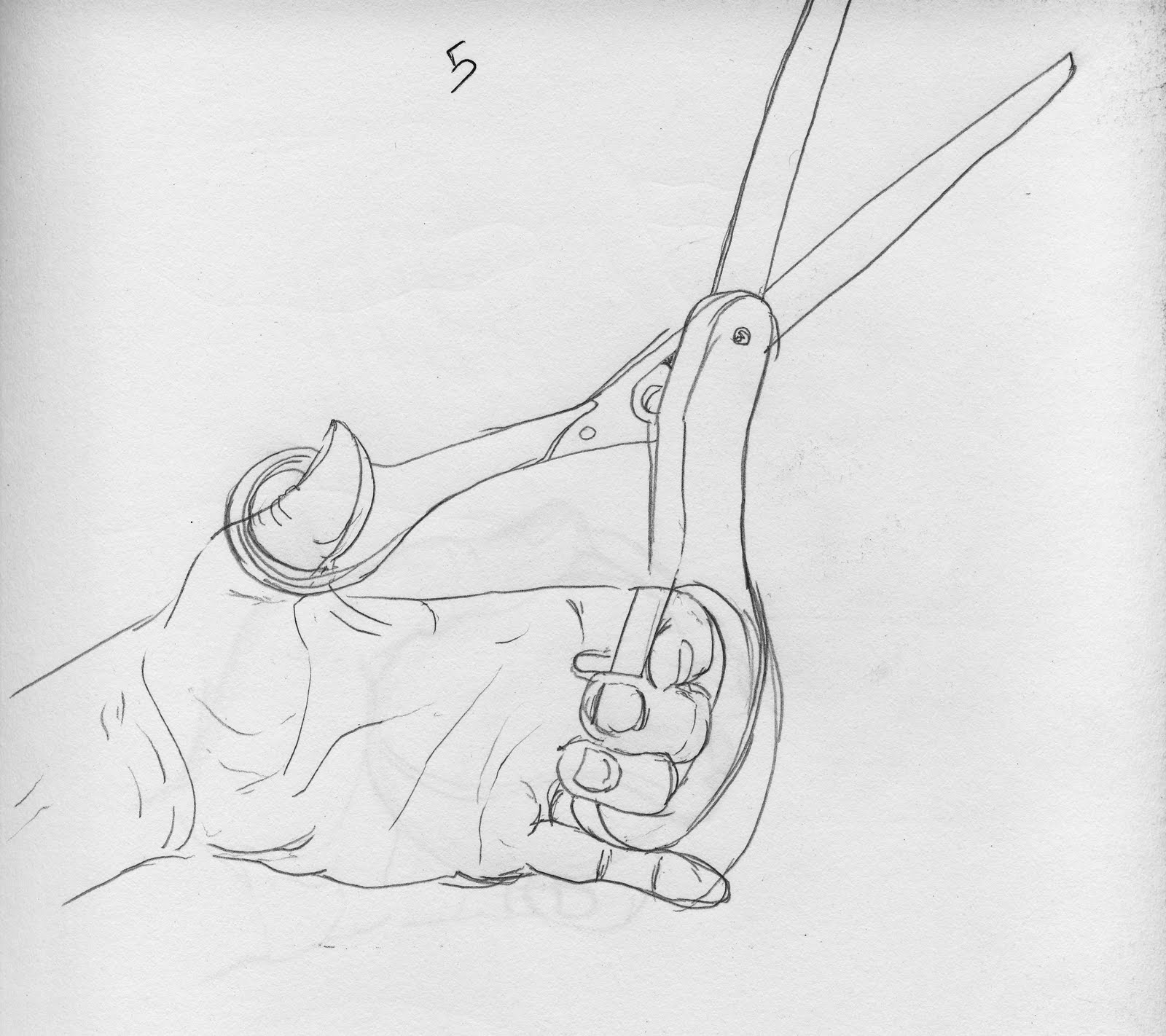 What Is Contour Line Drawing : Harkosion contour line drawings