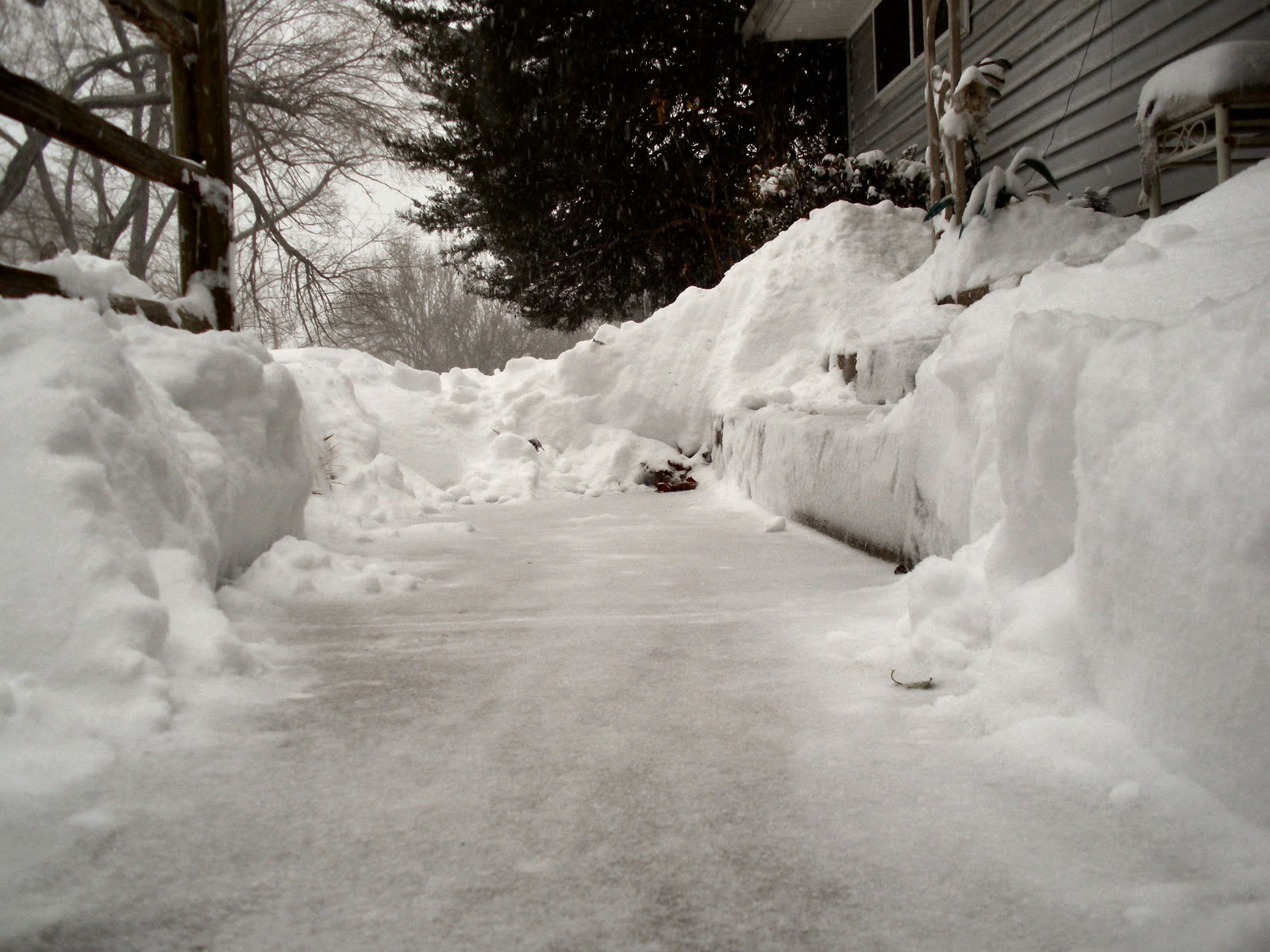 Capt. Spaulding�s World The Blizzard of February 1, 2011 Winds Toward
