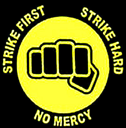 [CobraKai-fistBIG.jpg]