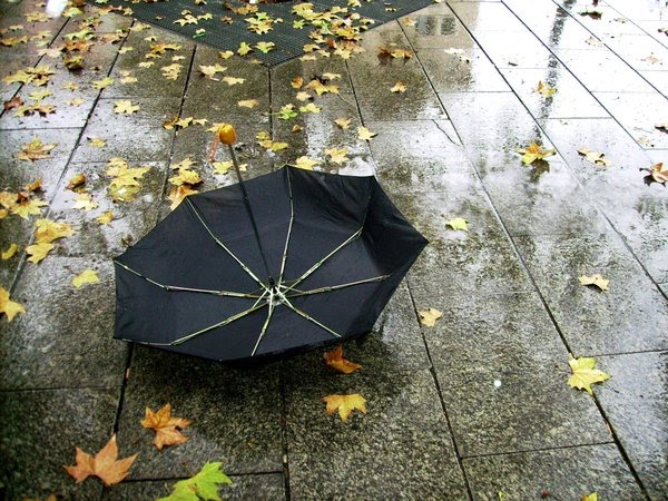 [umbrella_by_itsasoa.jpg]