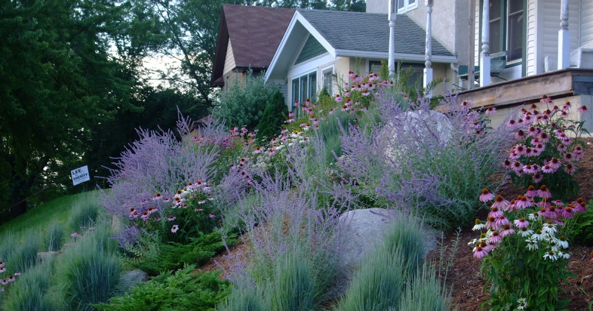 Yes, I Talk to Plants Plants on the Hill