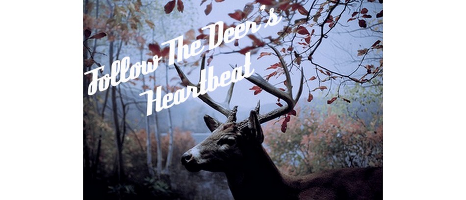 Follow the deer's heartbeat