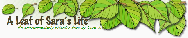 A Leaf of Sara's Life