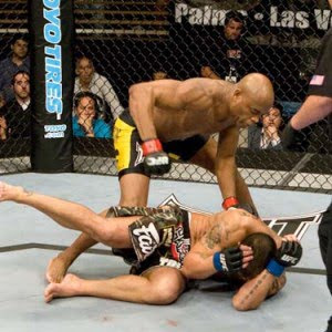 anderson silva vs sonnen