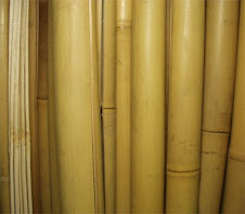 Bamboo Culmns