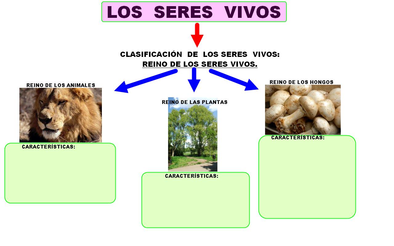 Seres+No+Vivos+Ejemplos Seres No Vivos Ejemplos http://cplapesga.blogspot.com/2010/09/los ...
