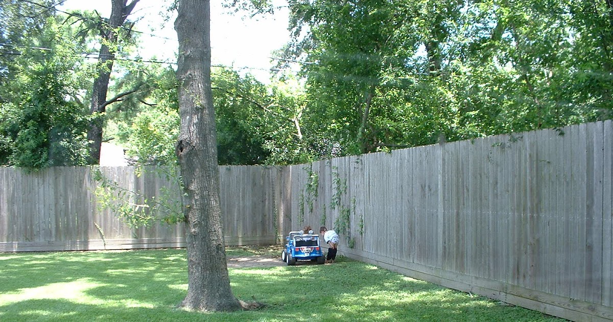 KINGDADS The dangers of peeing on a tree