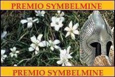 Premio Symbelmine.