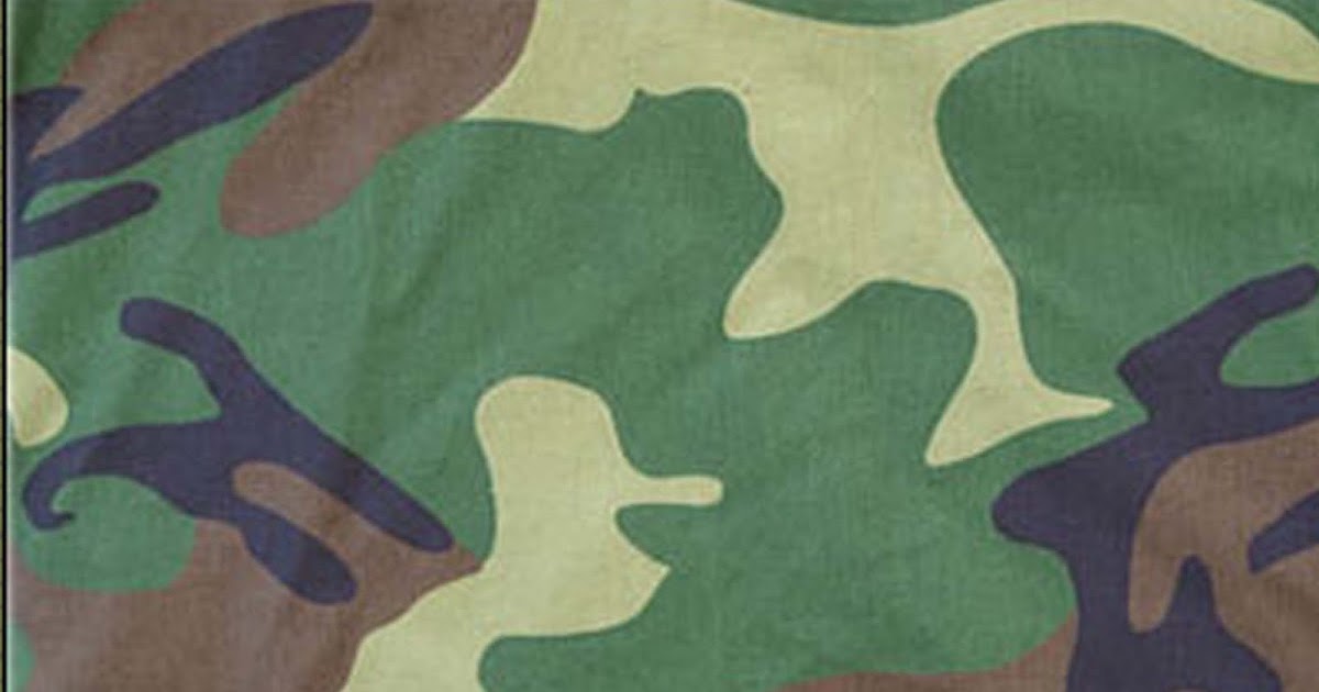 Camouflage: More examples of camouflage