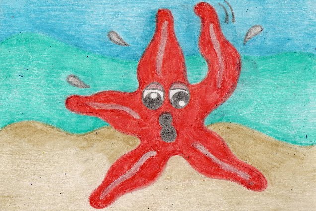 Adopt a Starfish...Save our Oceans!