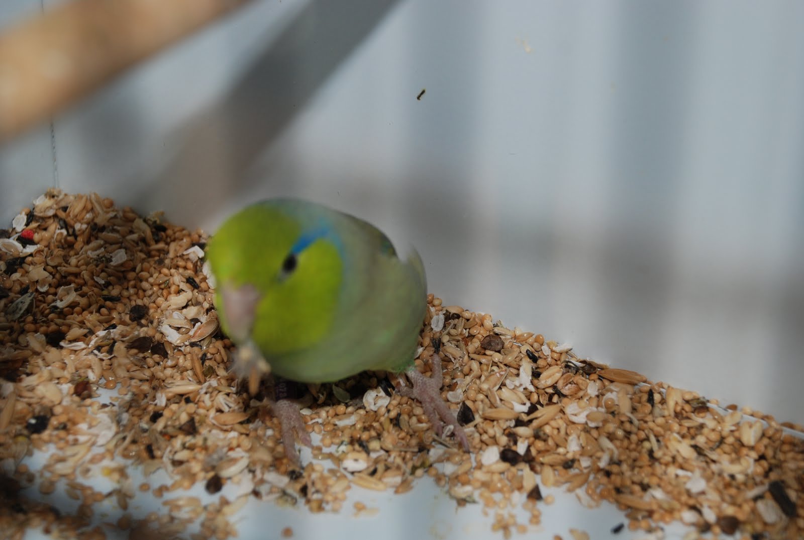 [DSC_0007.JPG]