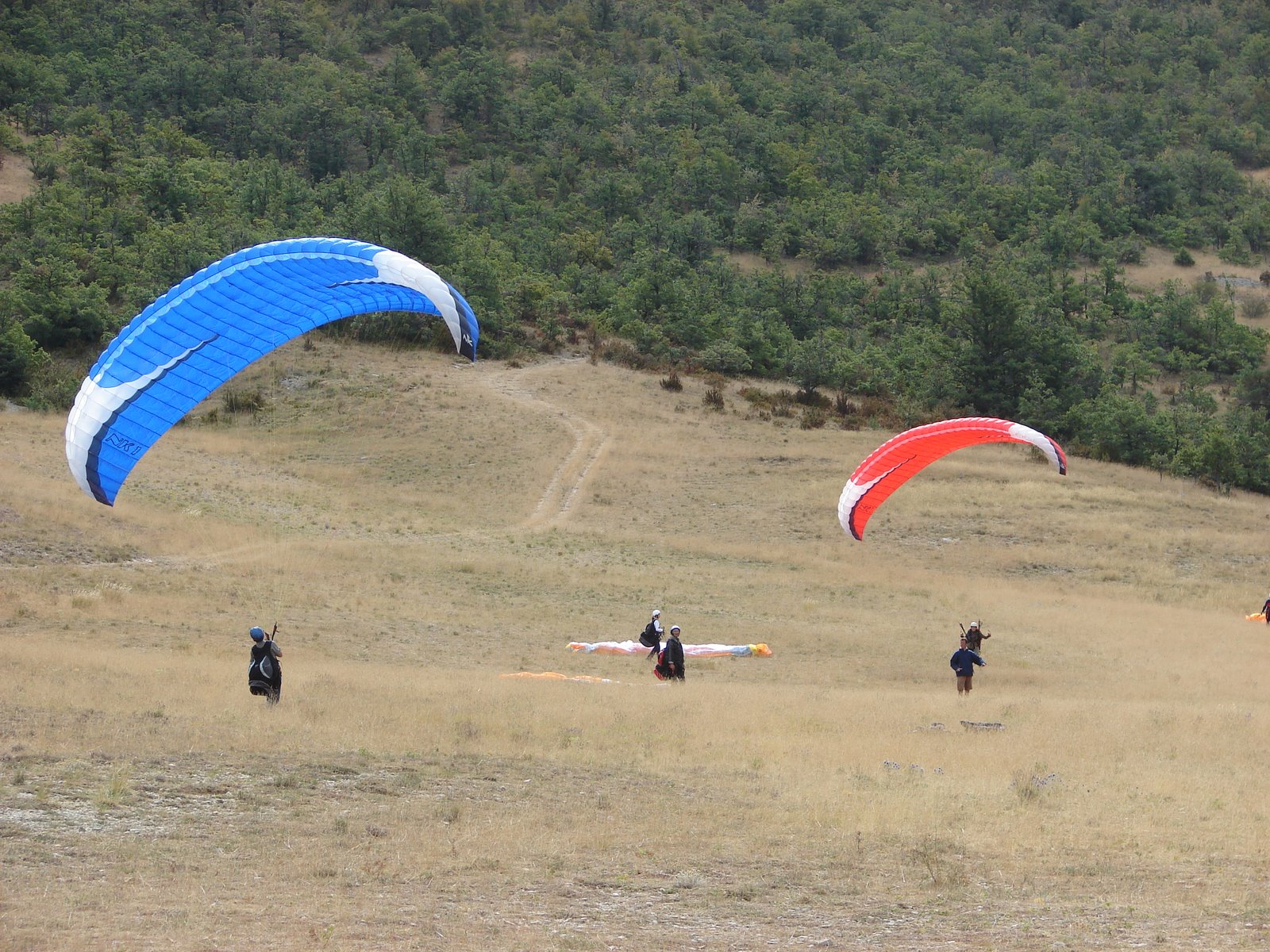 [DSC03487.JPG]