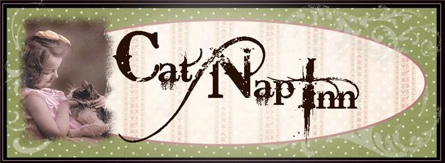 Cat NaP InN PriMiTiVeS