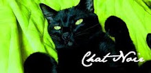 VISITEM CHAT NOIR