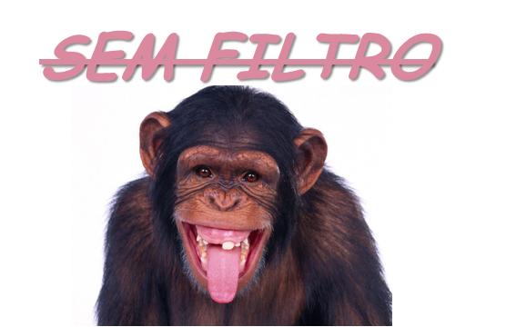 se filmer amélie gratis sem filtro se filmer amélie gratis sem filtro