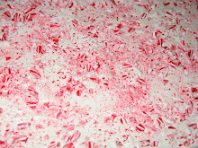 Peppermint Bark