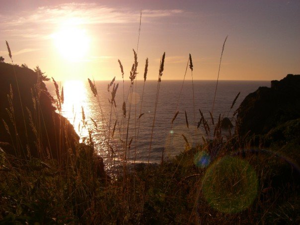 California coast