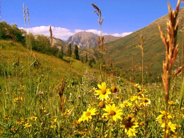 Above Provo, Utah