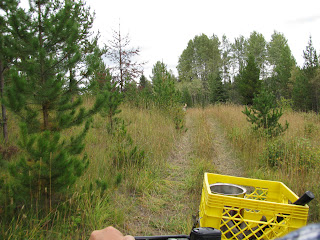  Riding the Quad