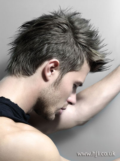 Men Hairstyles for 2011