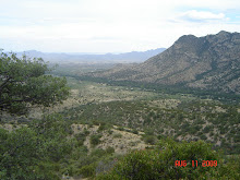 Georgeous View of Portal, AZ