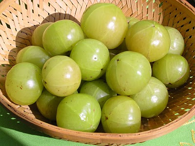 ~~Health benefits of GooseBerrieS~~ Gooseberry+014