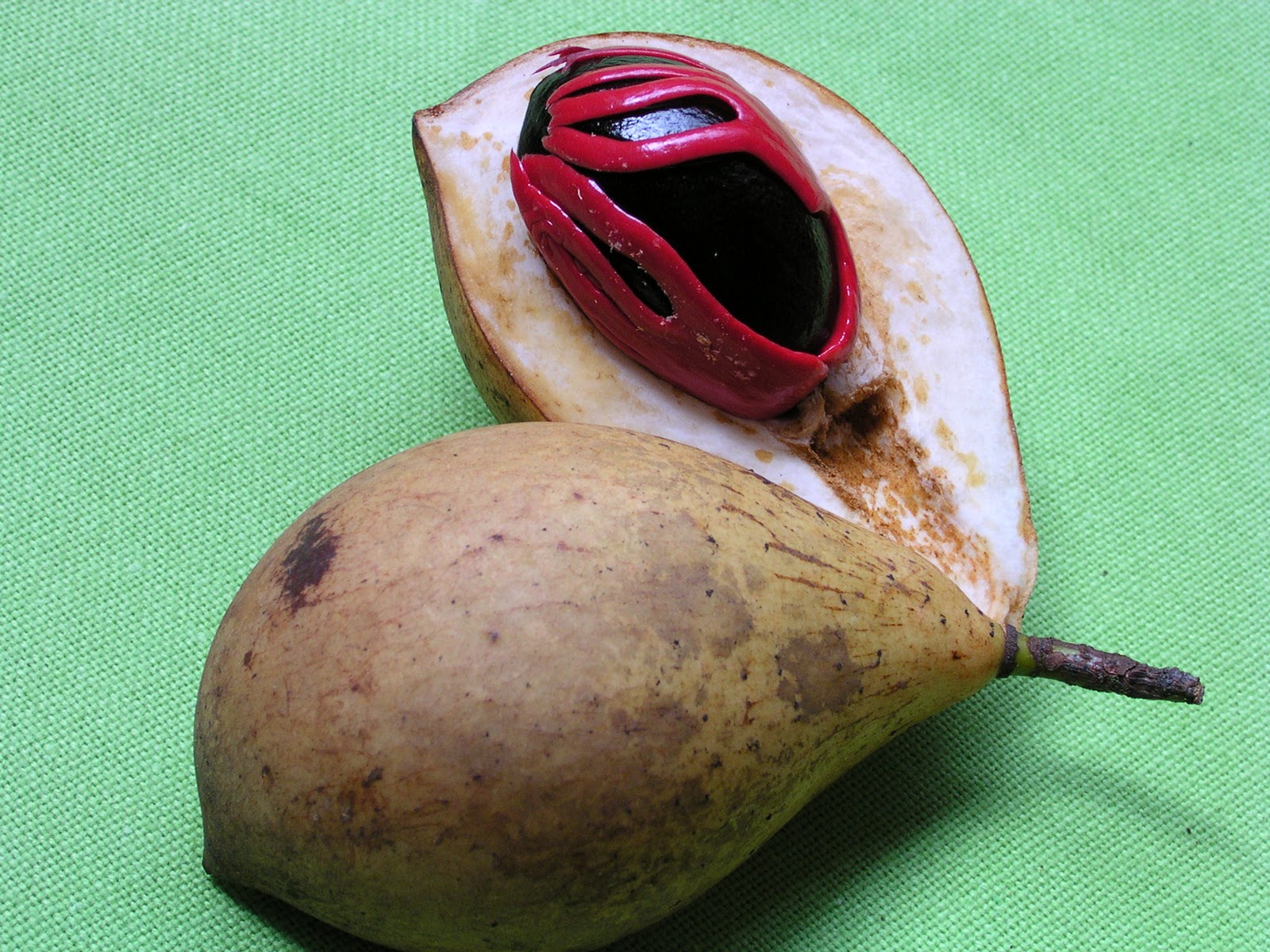 Enriching your kid! The Nutmeg Fruit