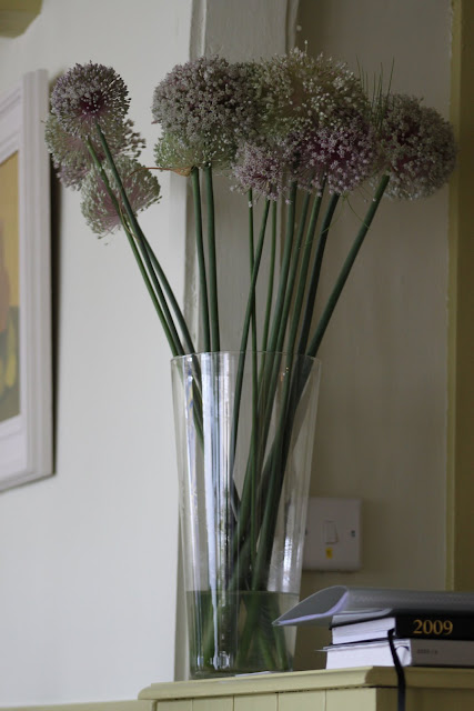  Wild Garlic, Mat Follas