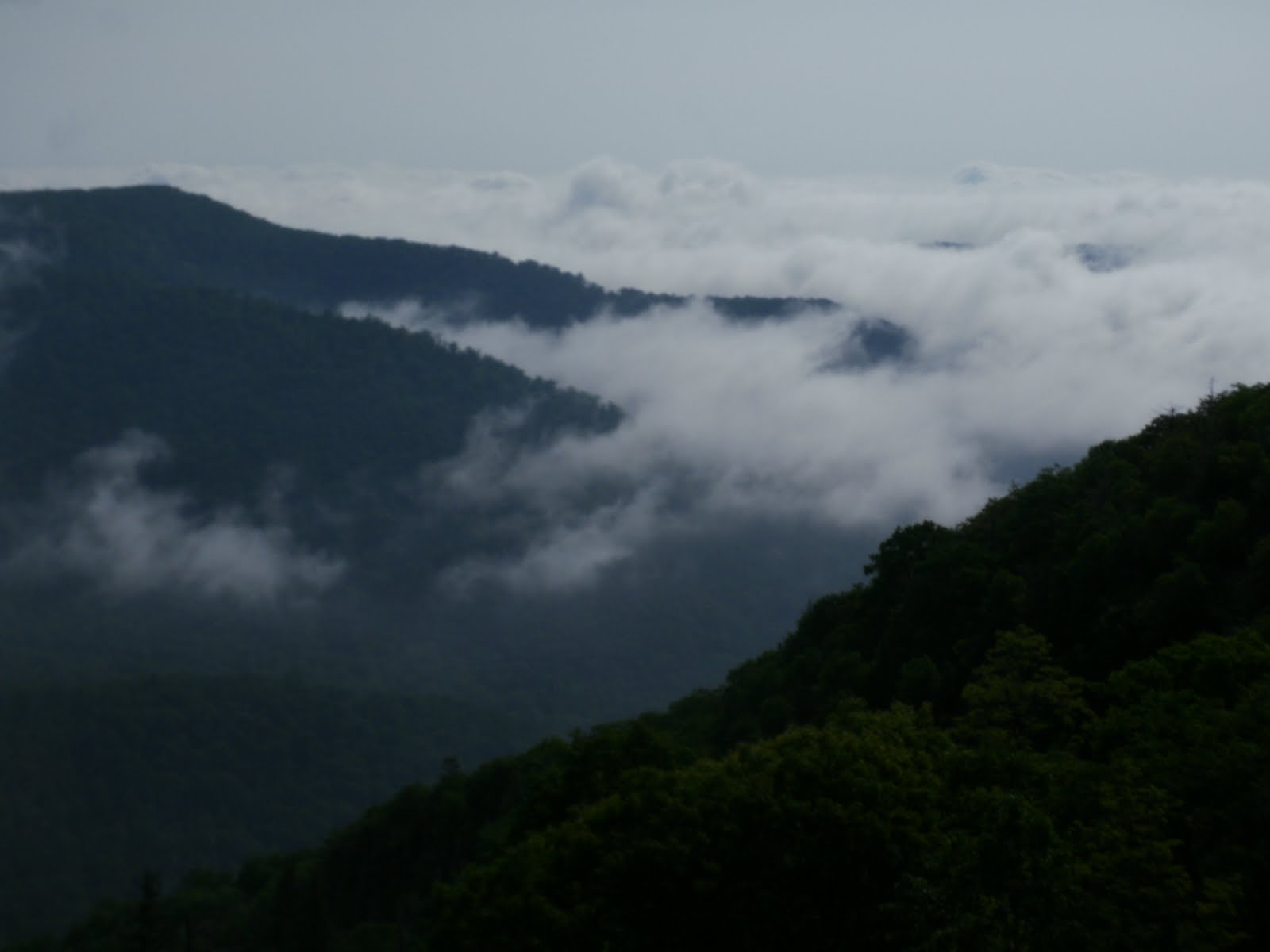 Valley Fog