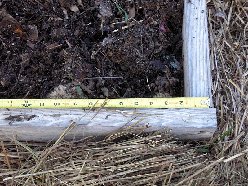 Life In Sugar Hollow An Experiment Growing Corn in Raised Beds