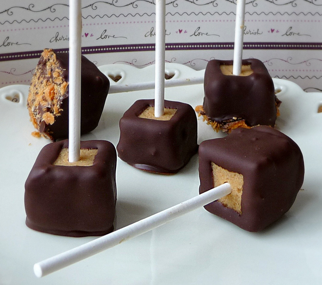 Family, Food, and Fun ChocolateCovered Peanut Butter Cheesecake Pops