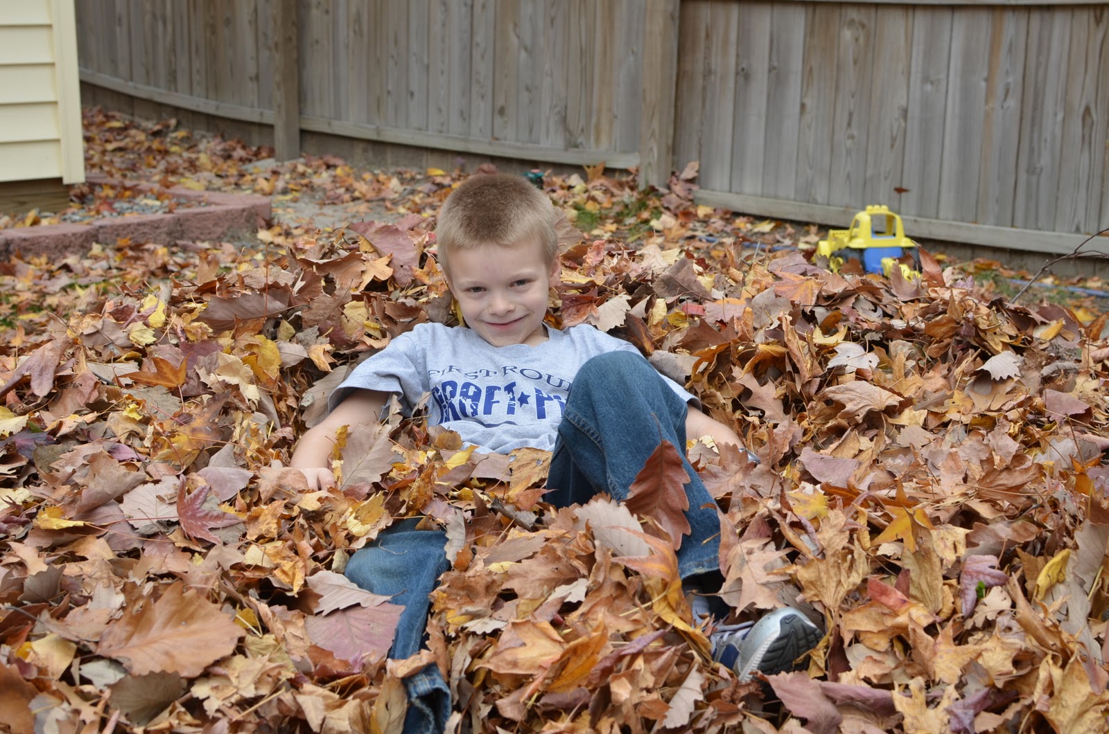 Family, Food, and Fun The Fun of Leaf Piles!