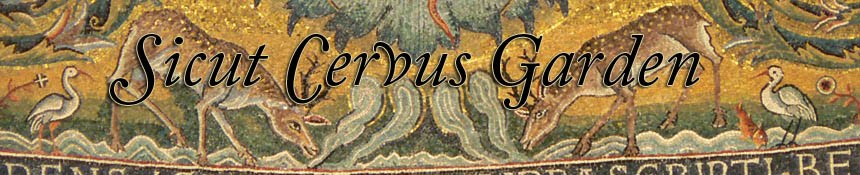 Sicut Cervus