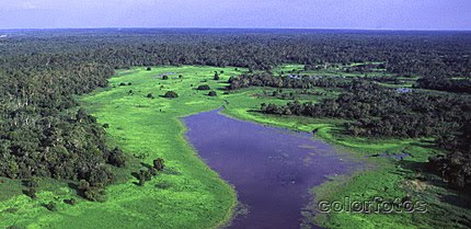 Amazônia Urgente!