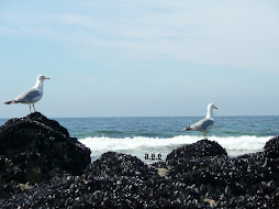 Dunas de Corrubedo