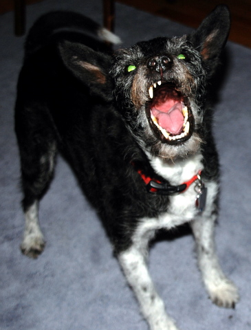 [John+Home+4+Xmas+12-15-2007+7-50-17+PM.JPG]