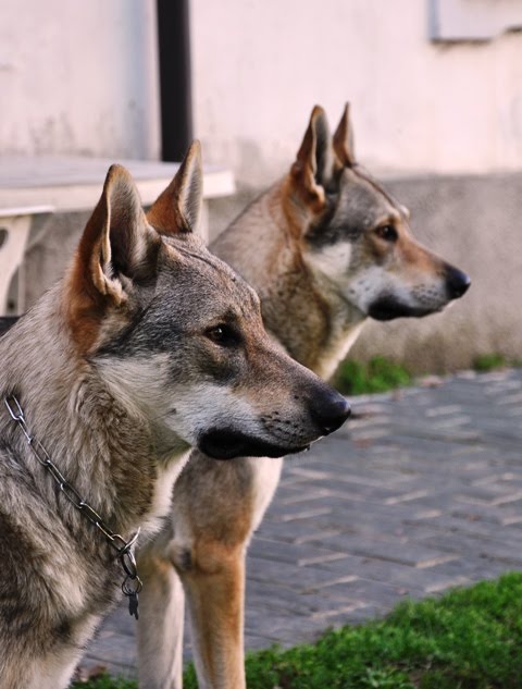 PADRE E FIGLIO