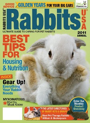 Rabbit Willy