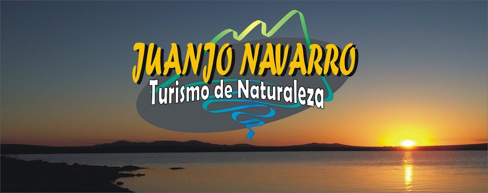 Juanjo Navarro TURISMO