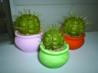 [cactos.jpg]