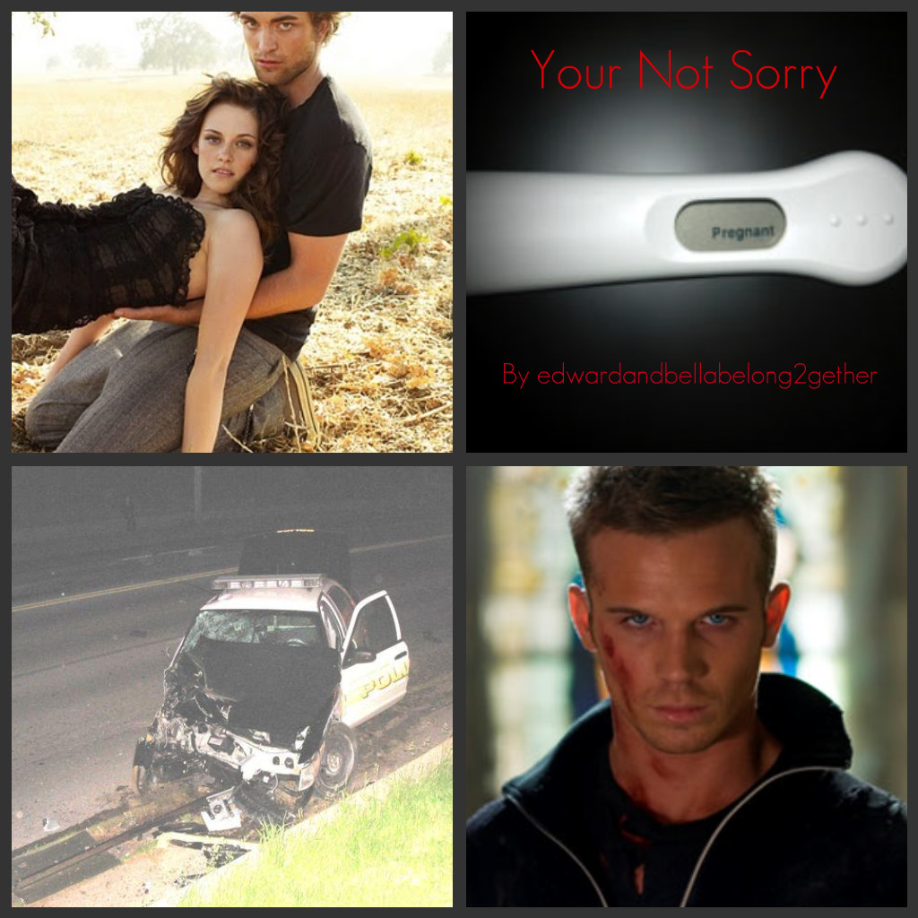 [Your+Not+Sorry+banner-mine2.jpg]