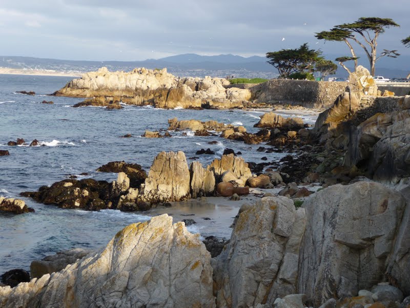 [new+photo+for+jen.bmp]