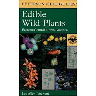 Black+women+body+shapes