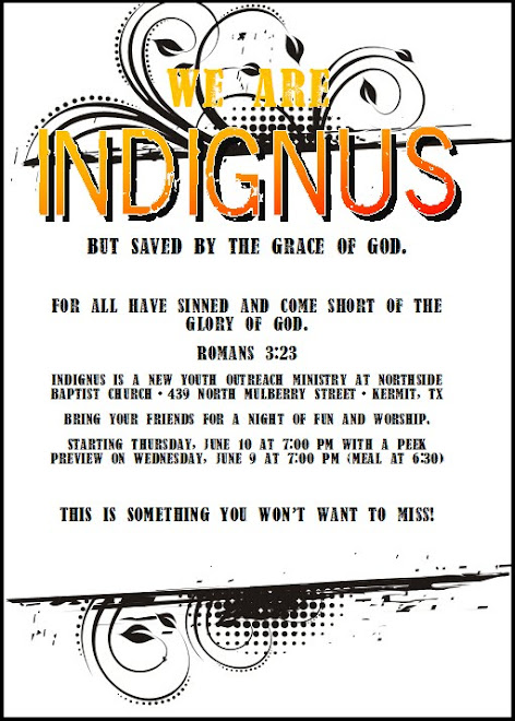 Indignus Flyer