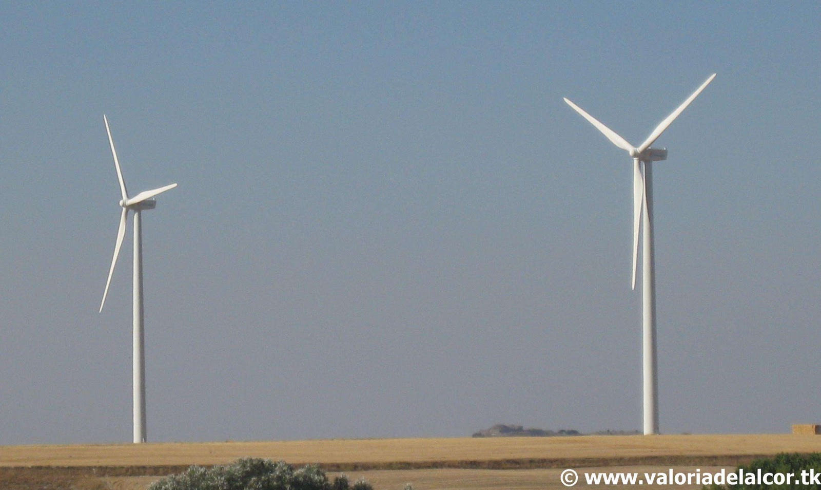 Los molinos de Viento | Valoria del Alcor